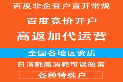 行业领先的SEM投放效果案例解析